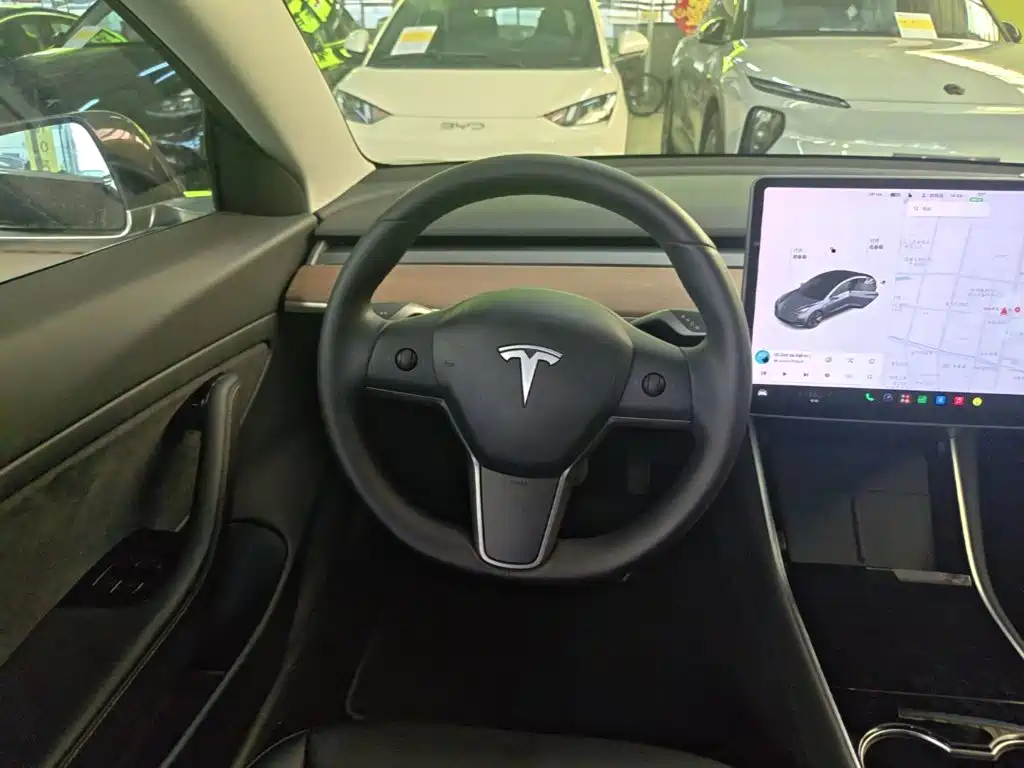 Tesla Model 3 — миниатюра 11