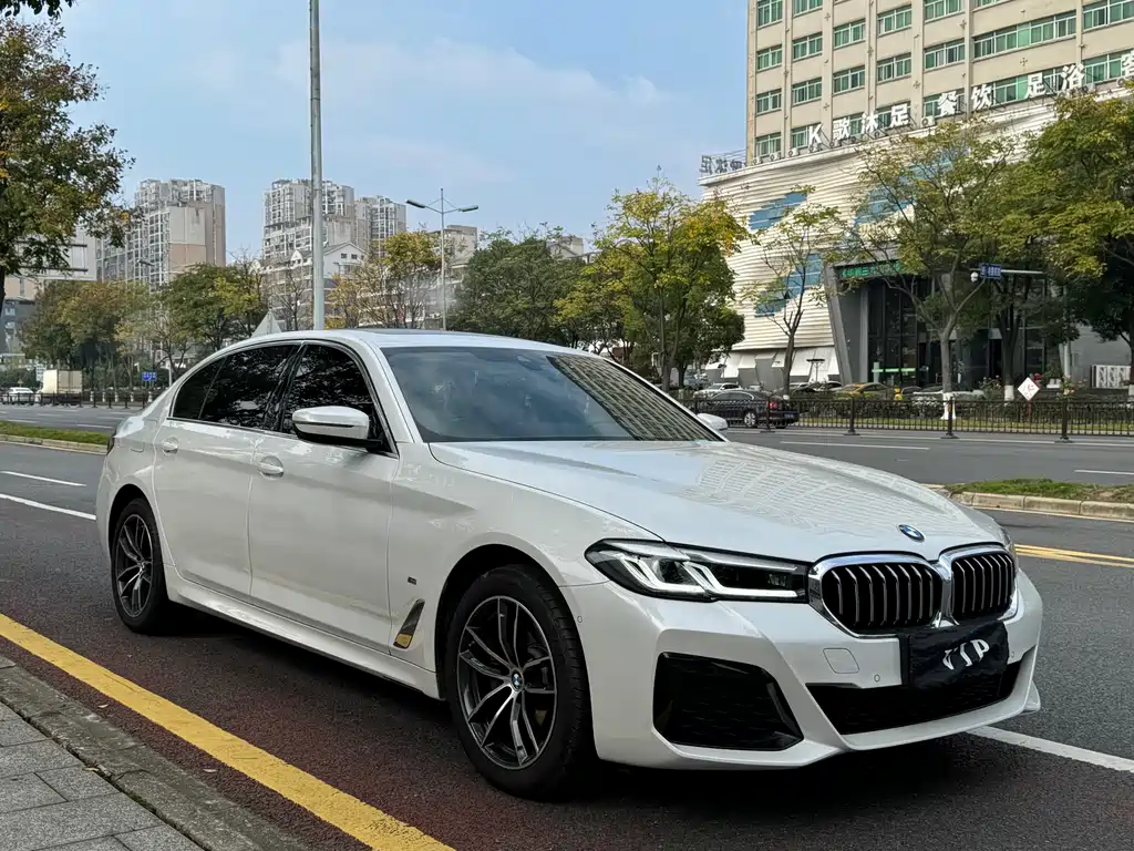 BMW 5 SERIES