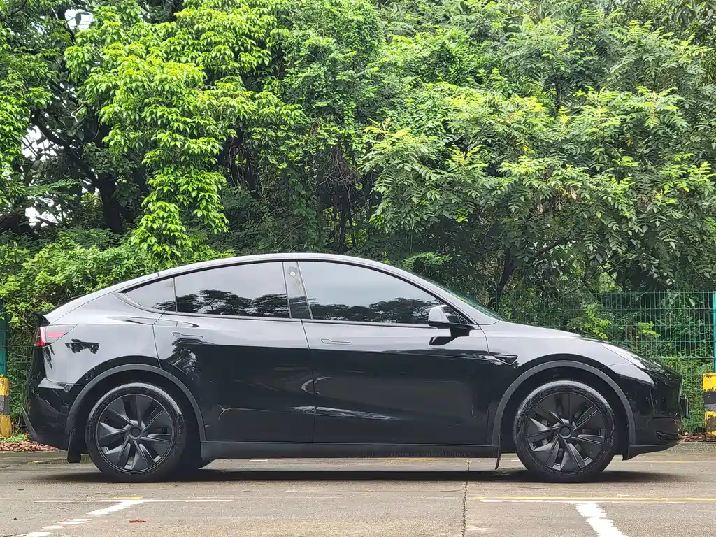 Tesla Model Y — миниатюра 23