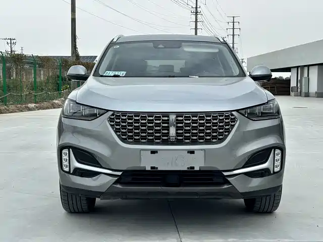 WEI PAI WEI BRAND VV6