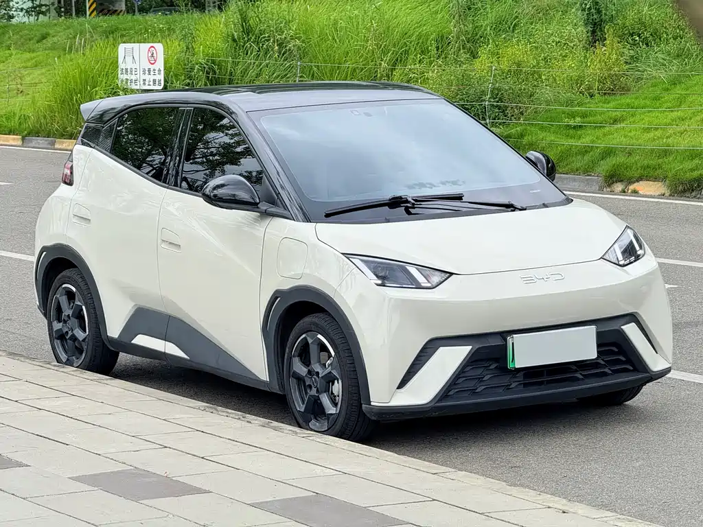 BYD Seagull — миниатюра 4