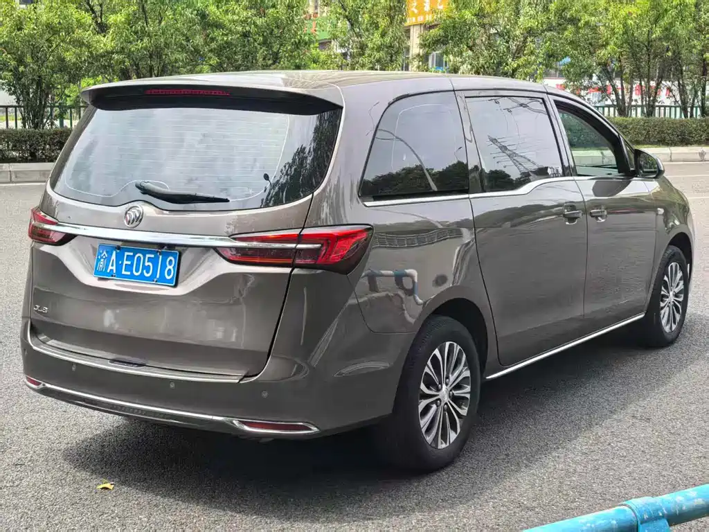 Buick GL8 — миниатюра 6