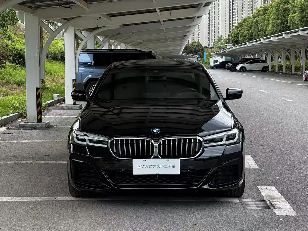BMW 5 Series (Import) — миниатюра 10