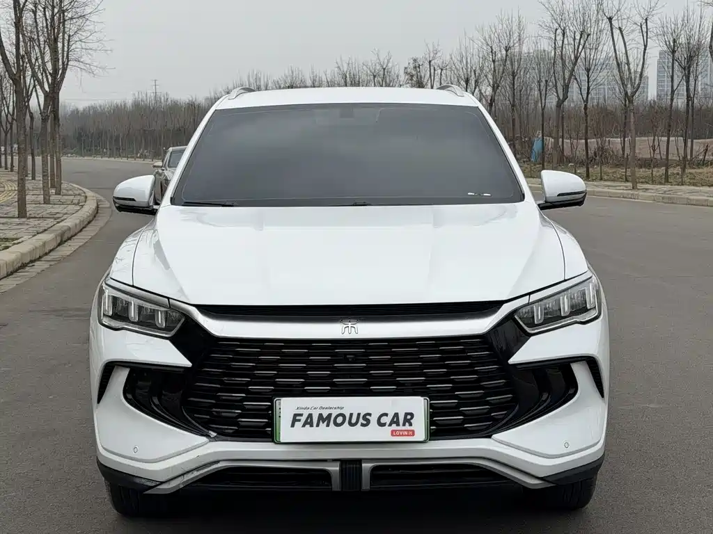 BYD SONGJIANG NEW ENERGY