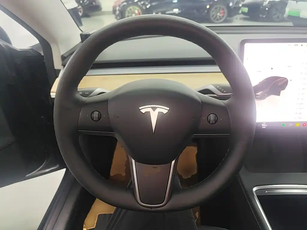 Tesla Model 3 — миниатюра 11