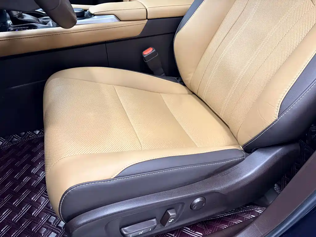 Lexus RX 300 4WD Elegant Edition China VI, фото 11