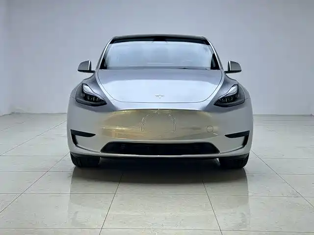 Tesla Model Y — миниатюра 2