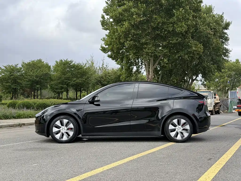 Tesla Model Y — миниатюра 3