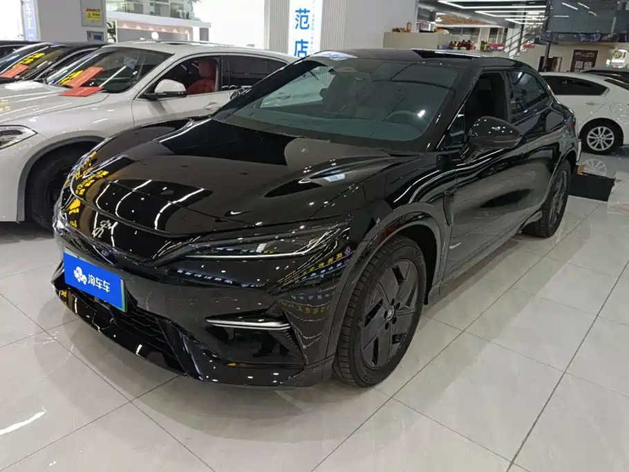 BYD L EV