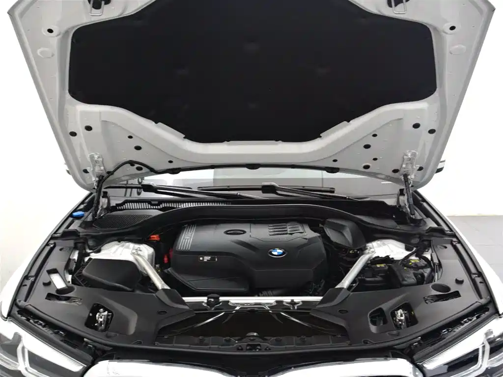 BMW 5 Series 5 2022 525Li M Sport