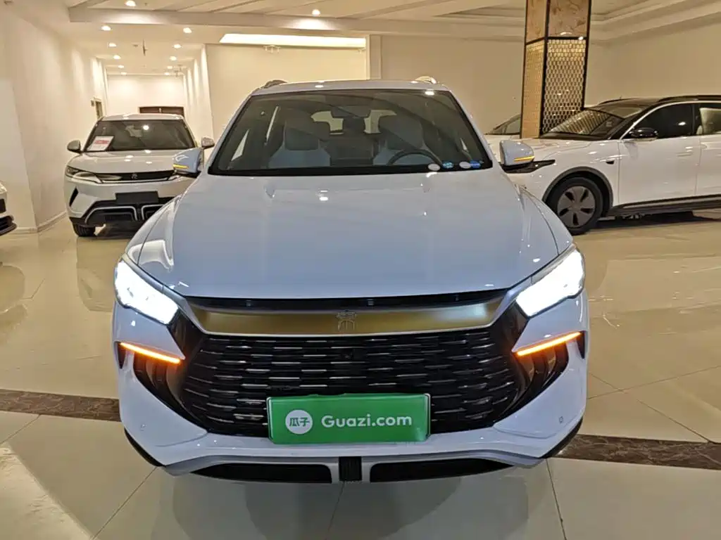 BYD Pro New Energy — миниатюра 3