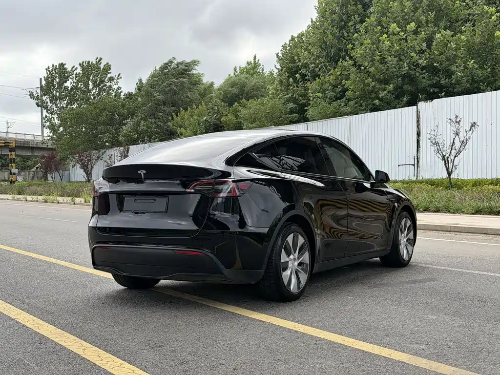 Tesla Model Y — миниатюра 9