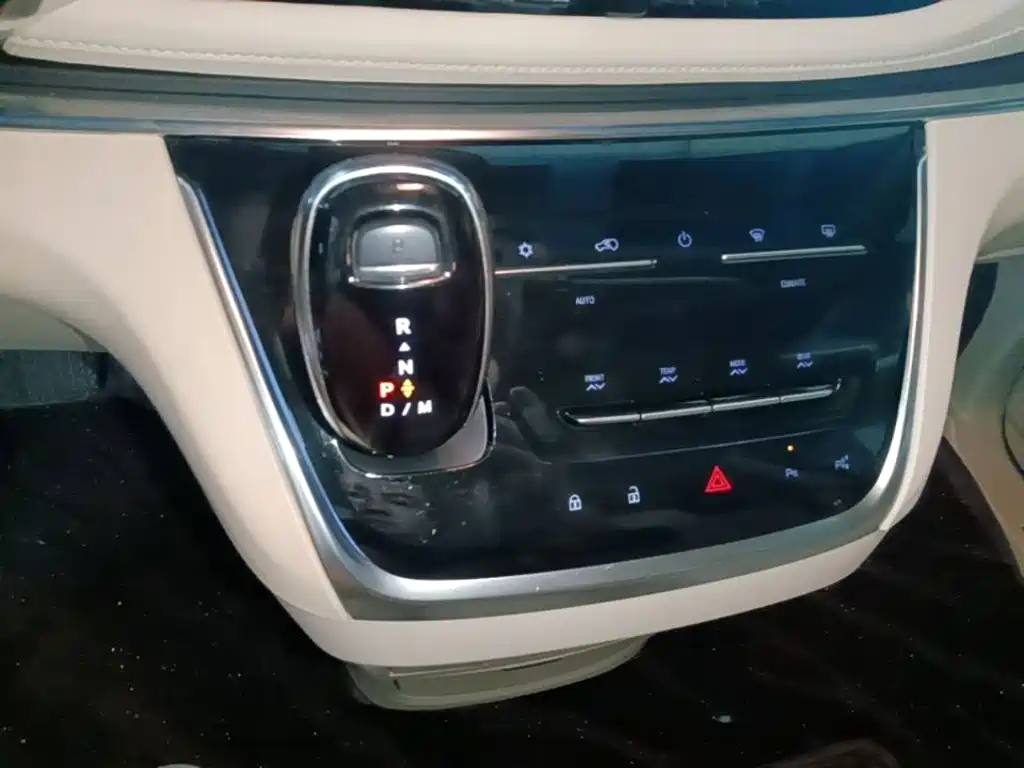 Buick GL8 — миниатюра 14