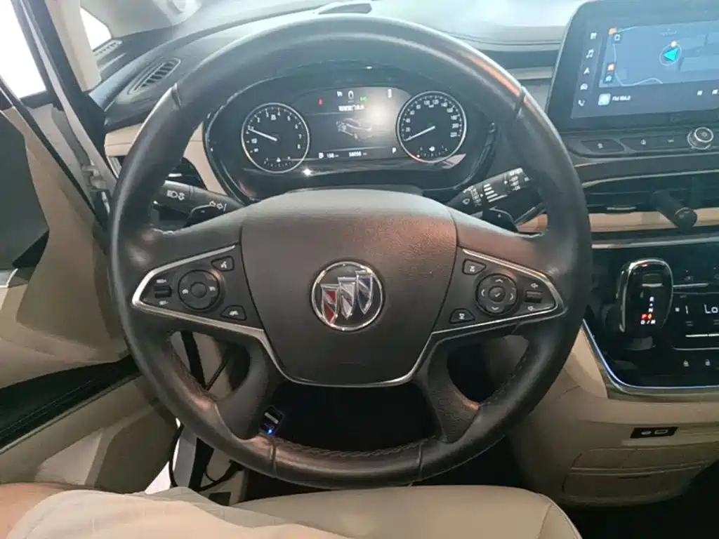 Buick GL8 — миниатюра 11