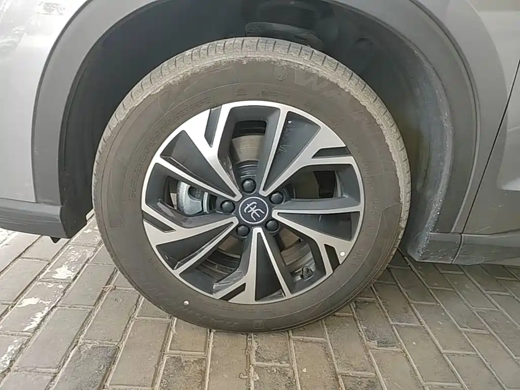 BYD Pro New Energy - фото 23