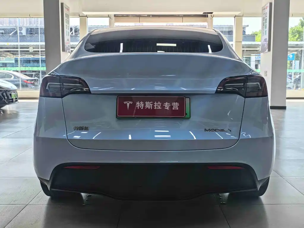 Tesla Model Y — миниатюра 7