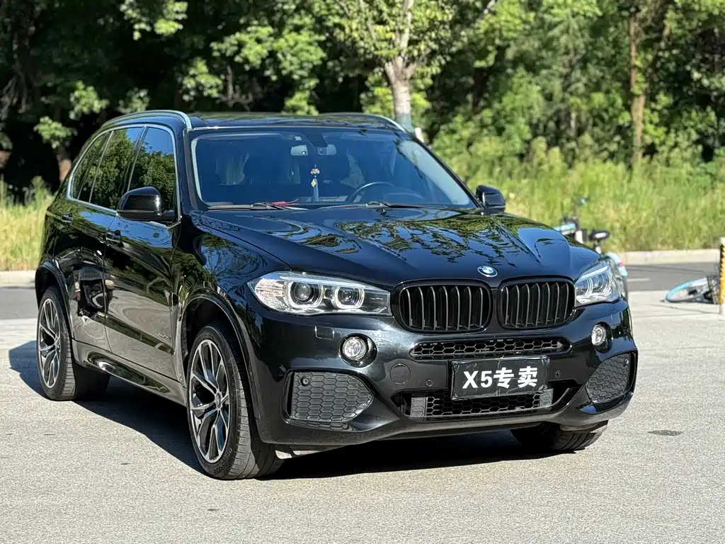 BMW X5 (Import) — миниатюра 3
