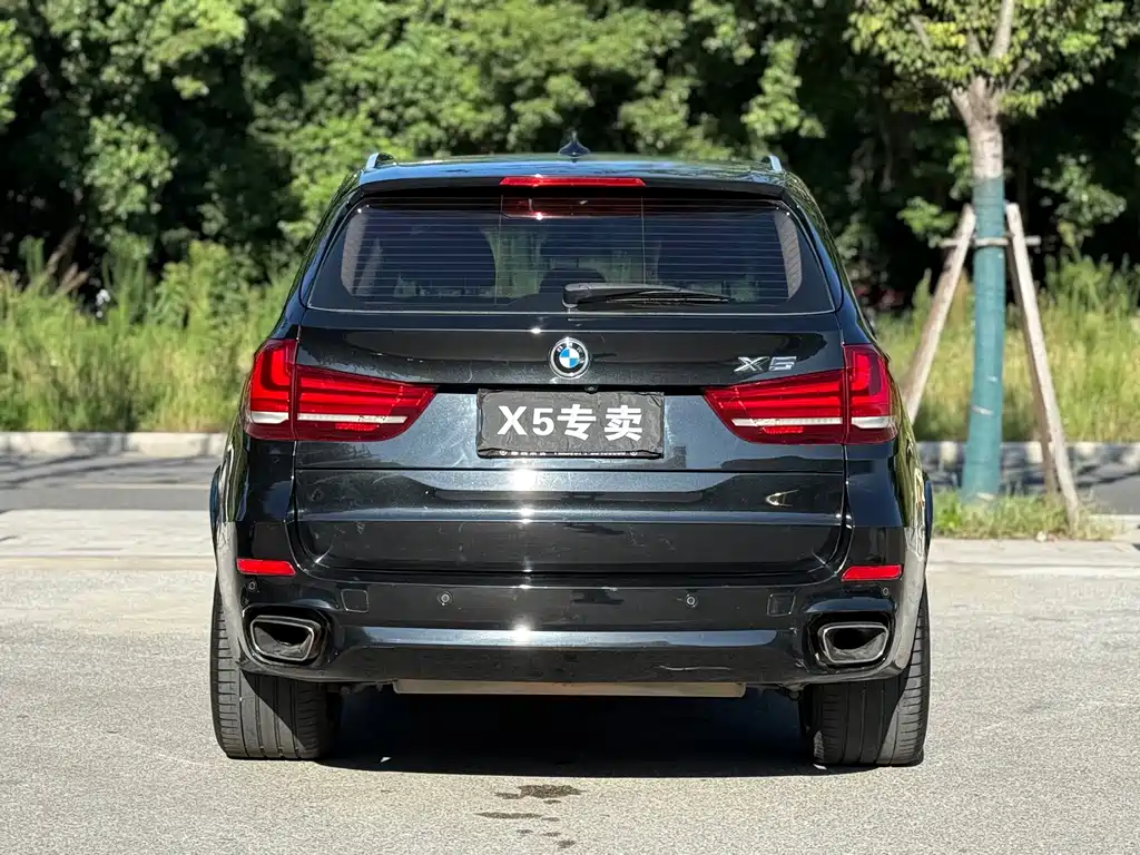 BMW X5 (Import) — миниатюра 5