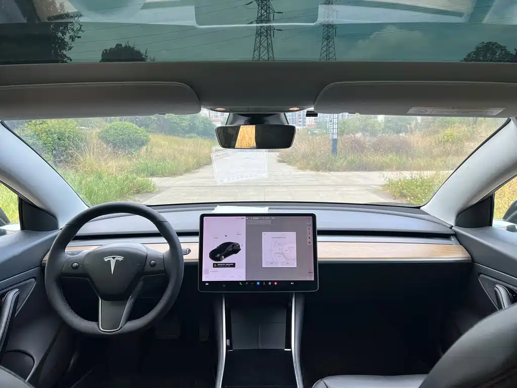 Tesla Model 3 — миниатюра 8