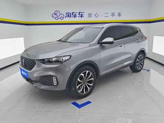 2020 Wey VV6