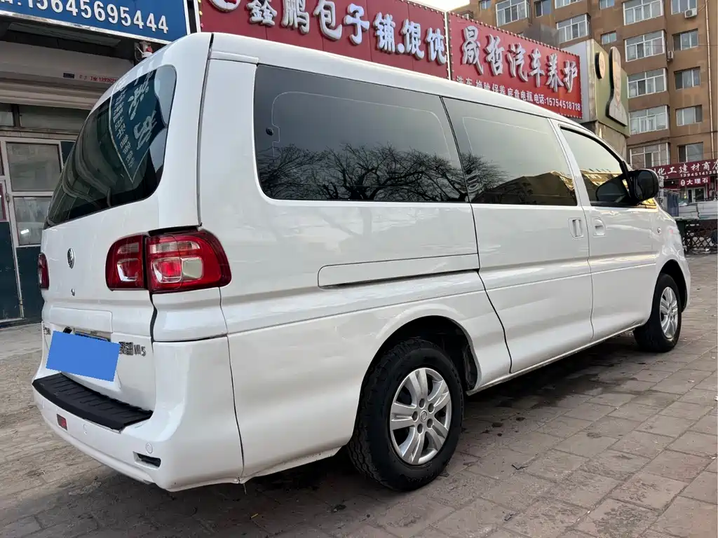 DONGFENG LINGZHI