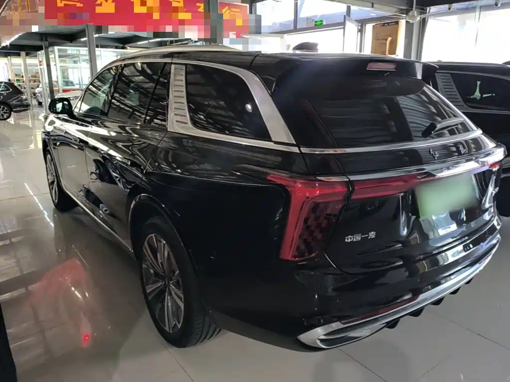 Hongqi Hongqi E-HS9 — миниатюра 5