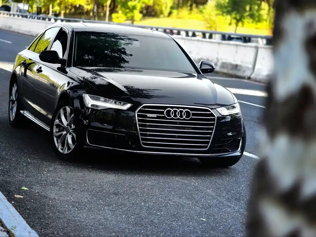 Audi A6L — миниатюра 8