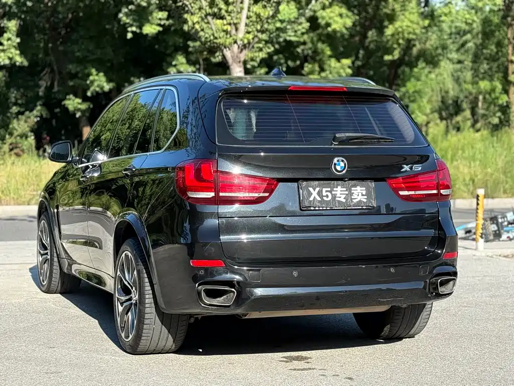 BMW X5 (Import) — миниатюра 6