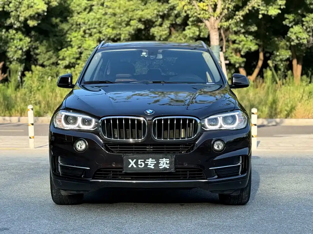 BMW X5 (Import) — миниатюра 2