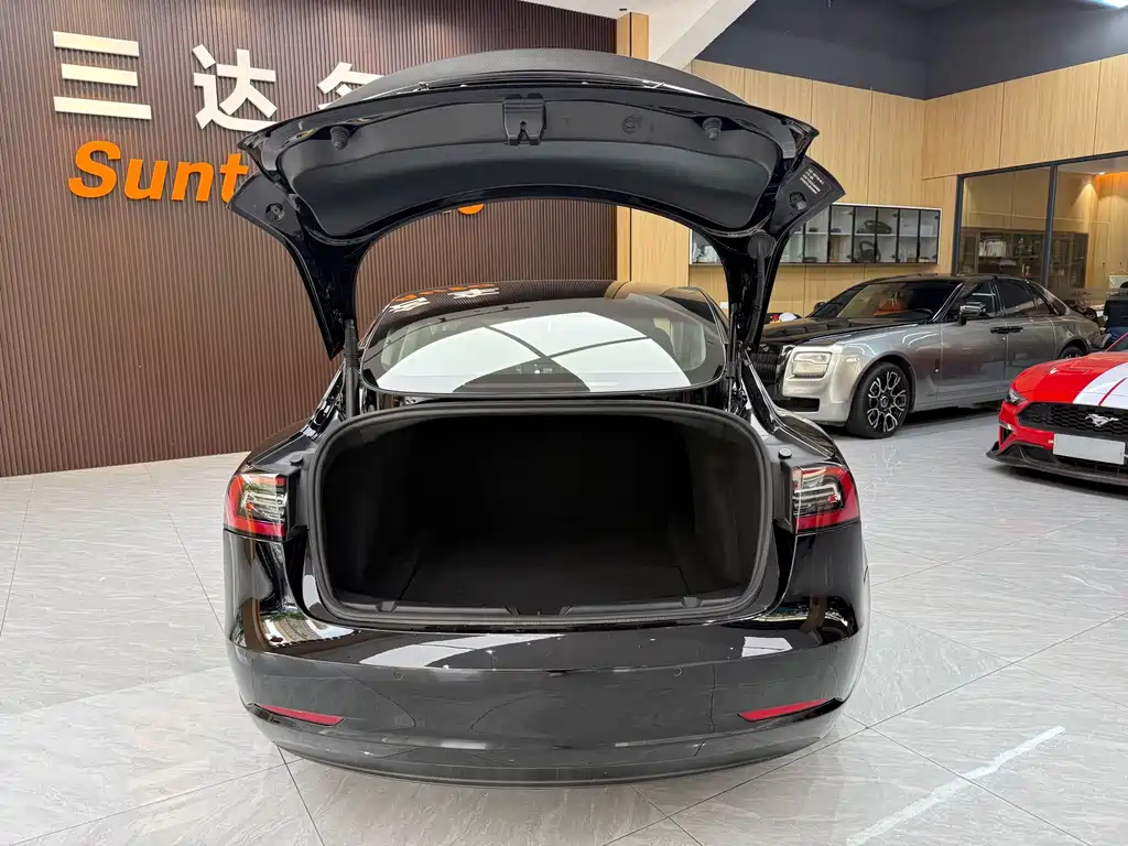 Tesla Model 3 — миниатюра 26