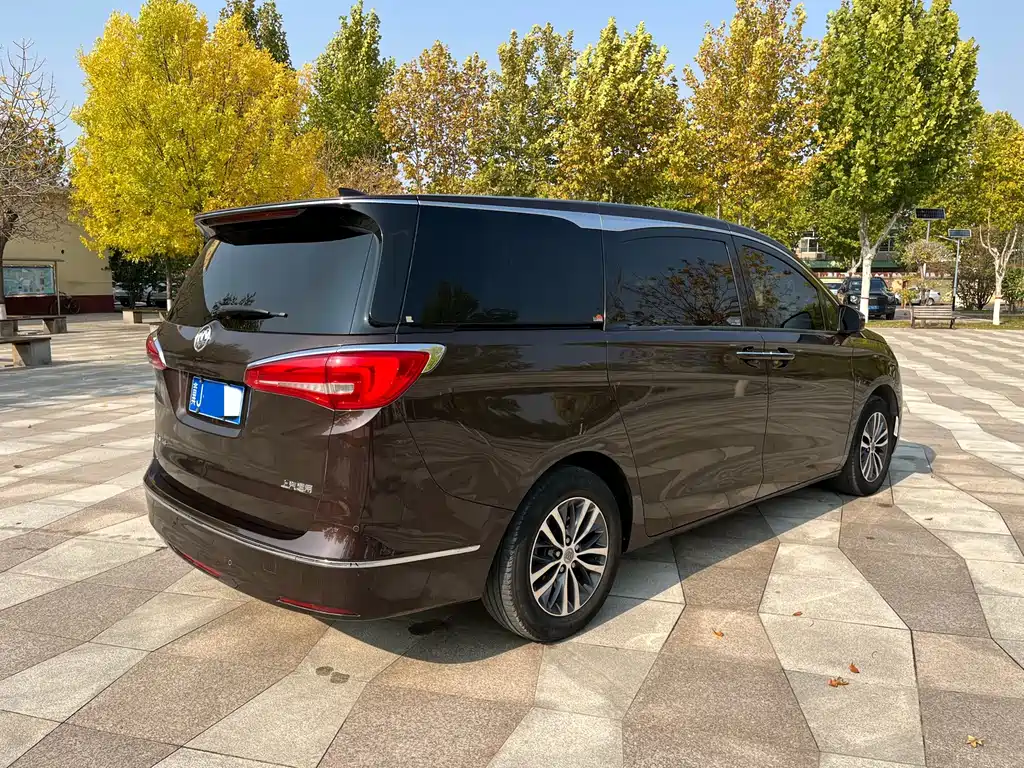 Buick GL8 — миниатюра 5