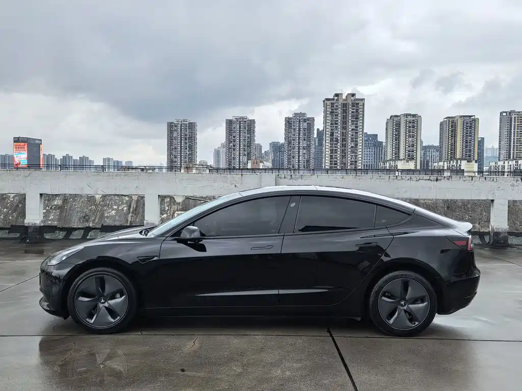 Tesla Model 3 — миниатюра 6