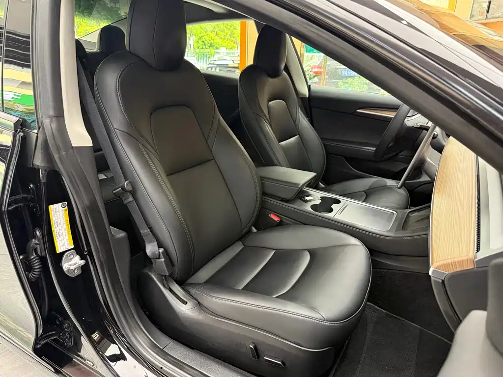 Tesla Model 3 — миниатюра 19