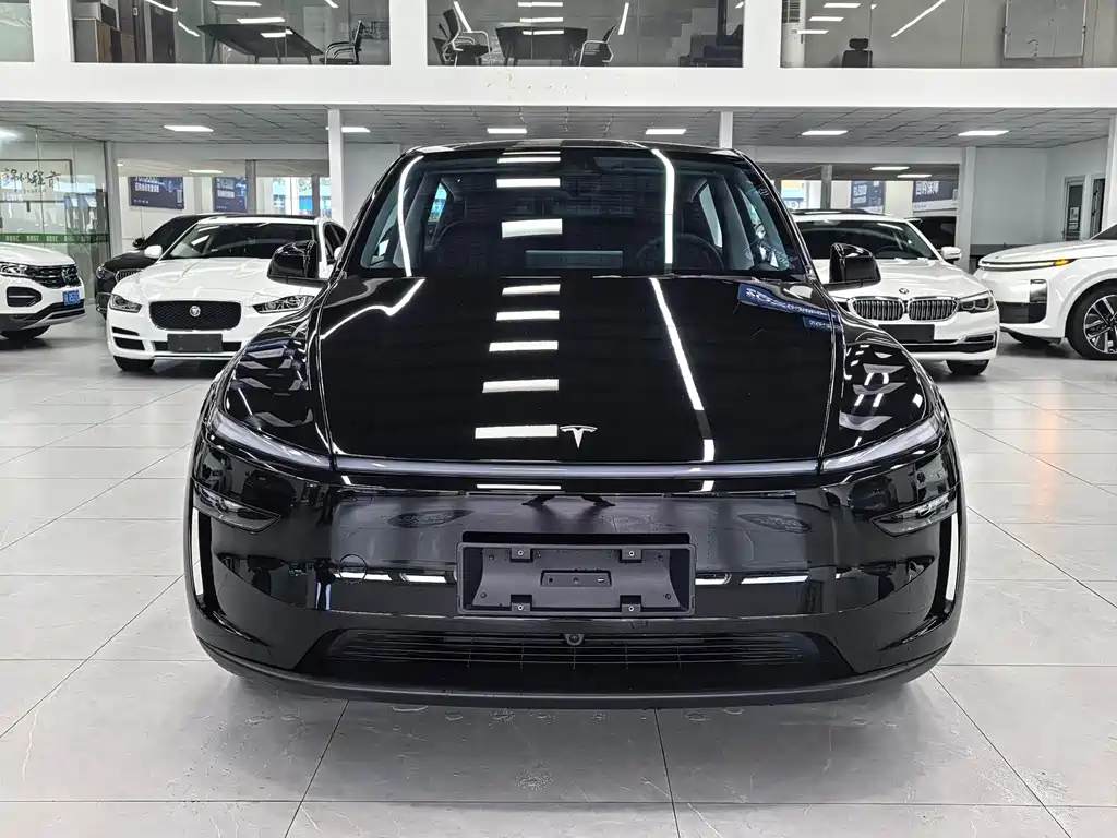 Tesla Model Y — миниатюра 2