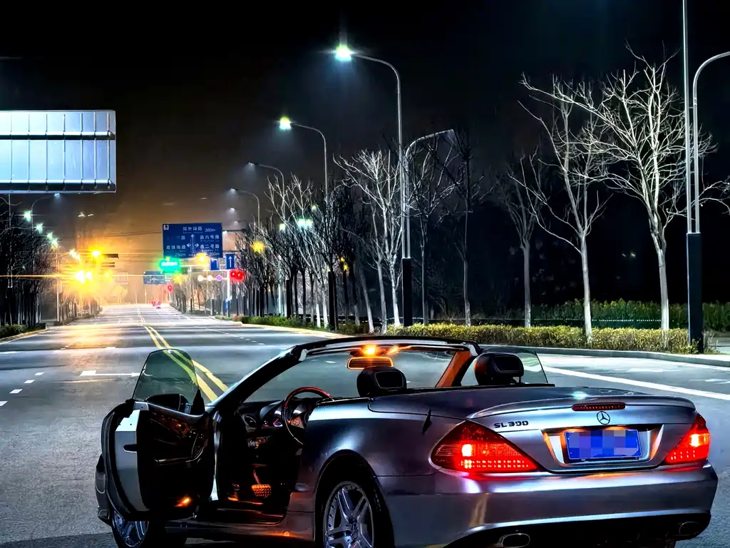Mercedes-Benz SL 2010 SL 300