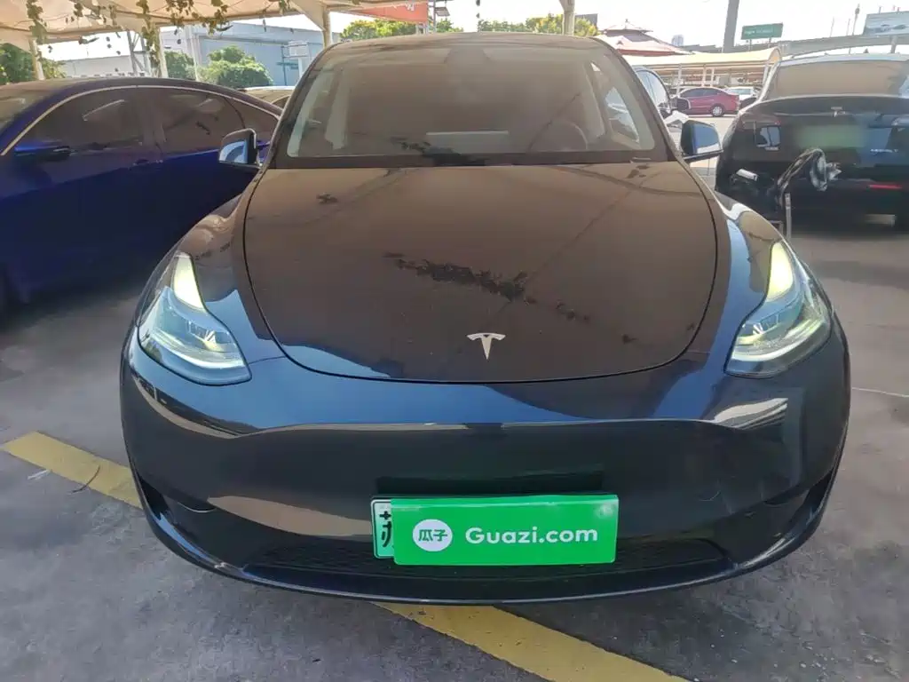 Tesla Model Y — миниатюра 3