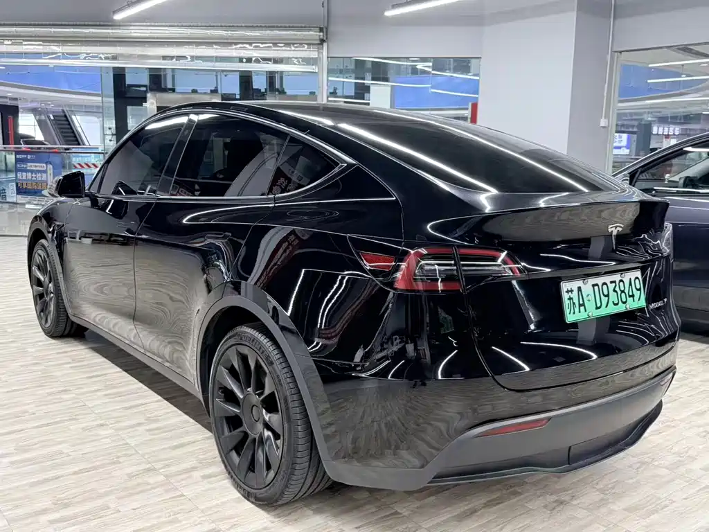Tesla Model Y — миниатюра 3