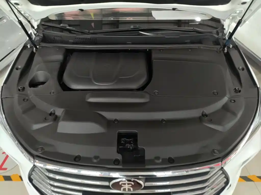 BYD MAX — миниатюра 20