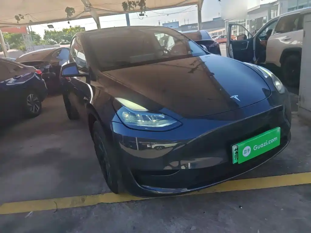 Tesla Model Y — миниатюра 4