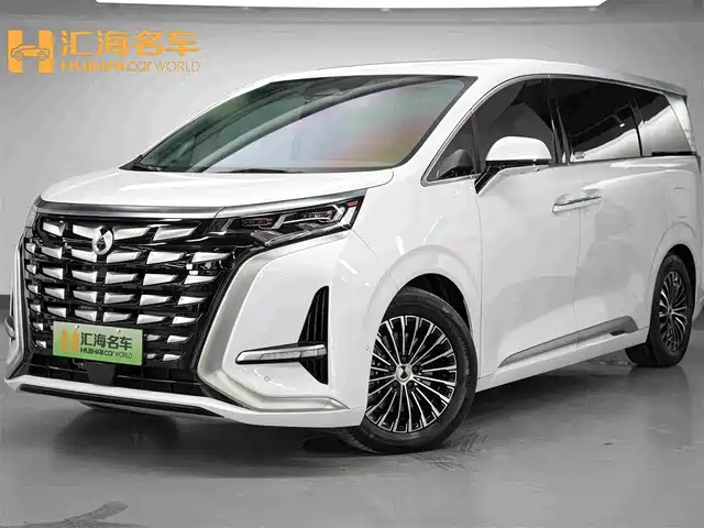 2023 Denza D9