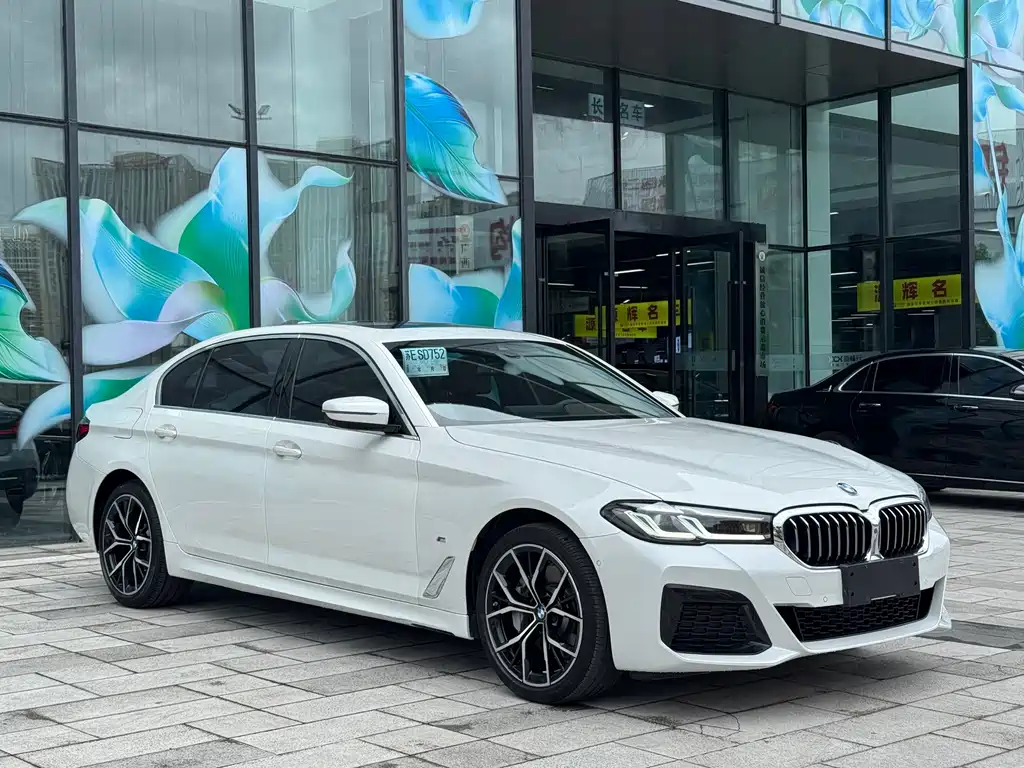 BMW 5 Series — миниатюра 3