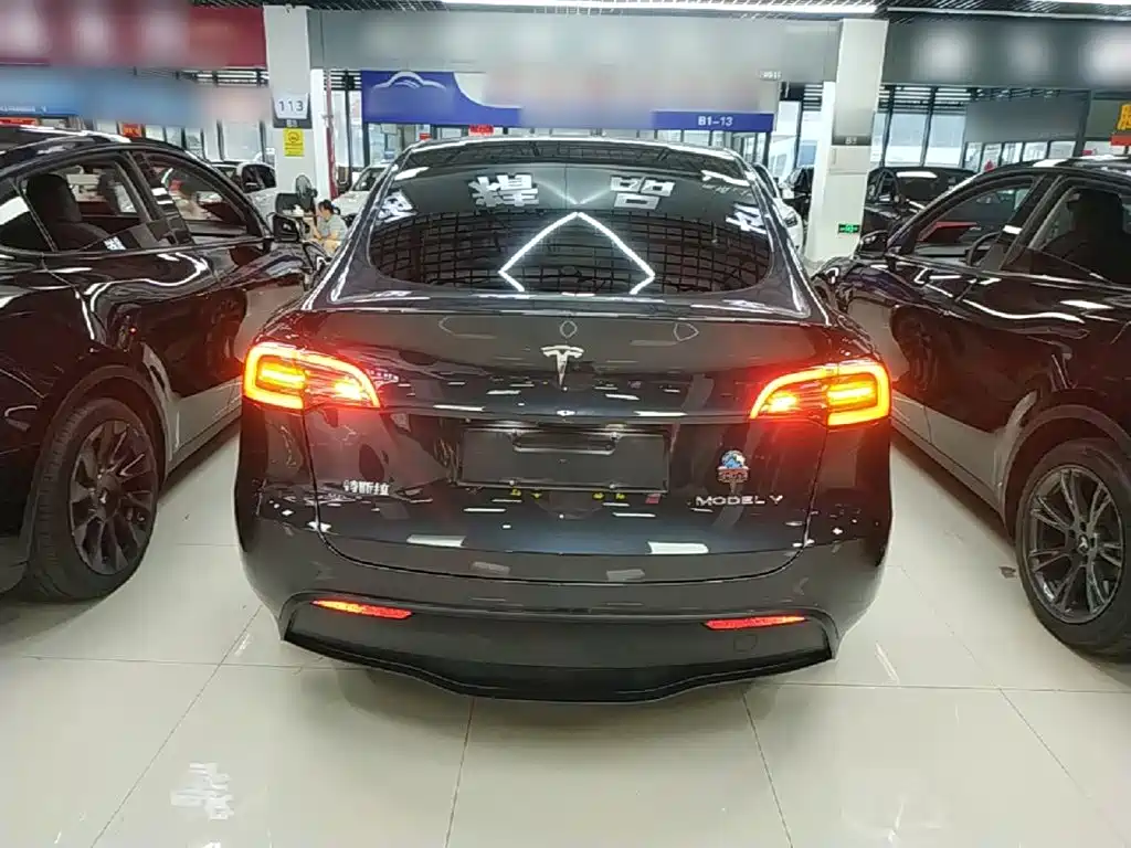 Tesla Model Y — миниатюра 6