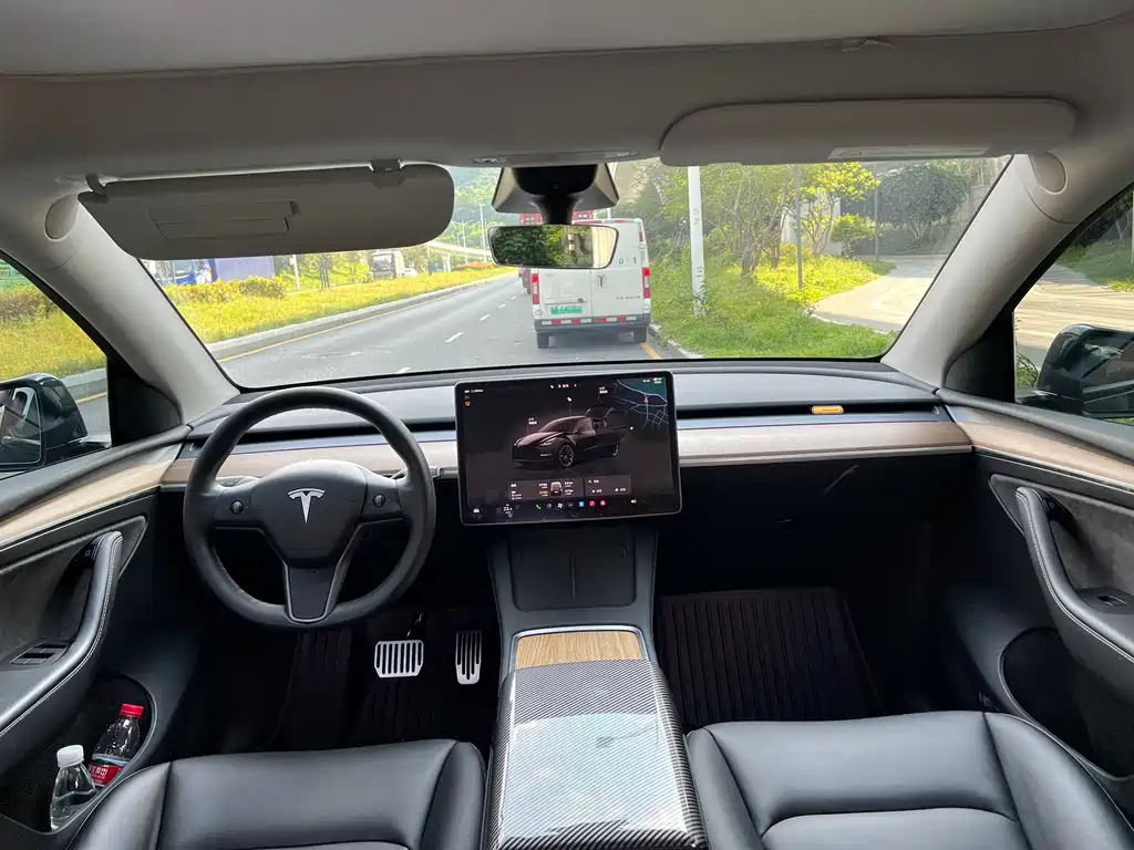 Tesla Model Y — миниатюра 14