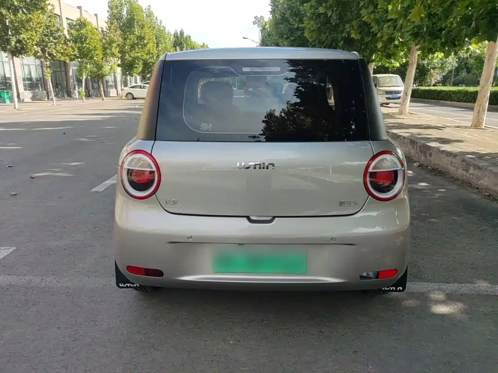 Qiyuan Lumin — миниатюра 6
