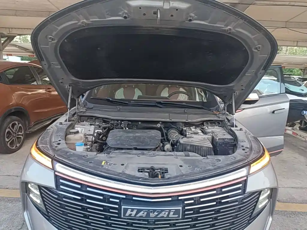 Haval Shenshou — миниатюра 20