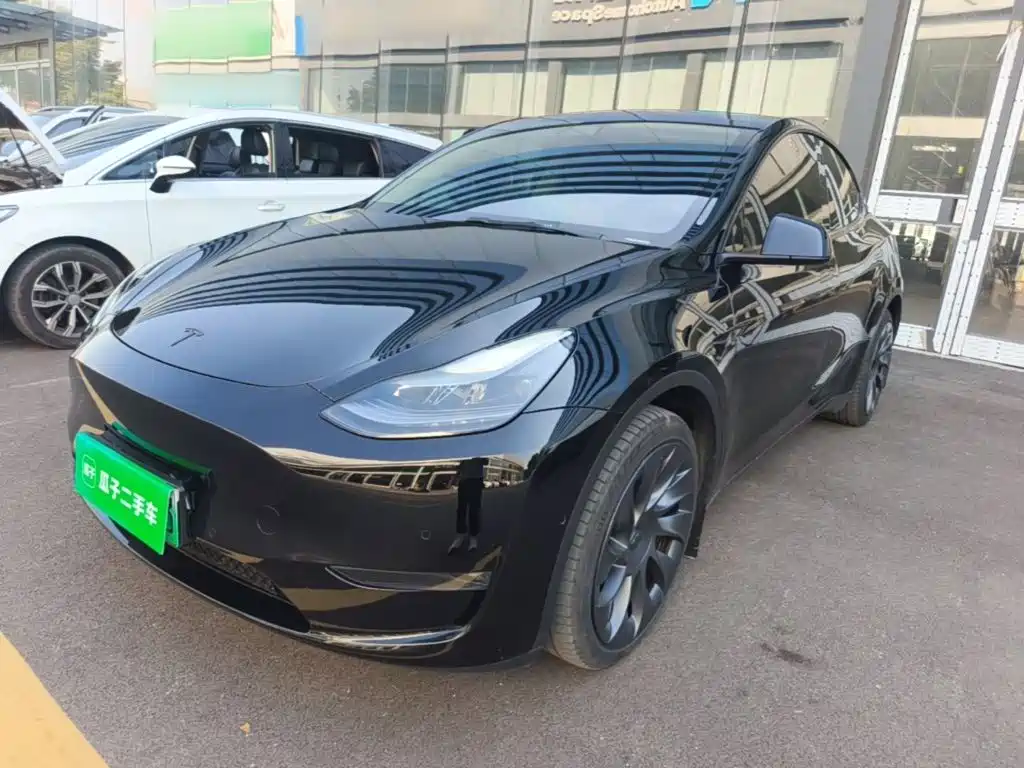 Tesla Model Y — миниатюра 2
