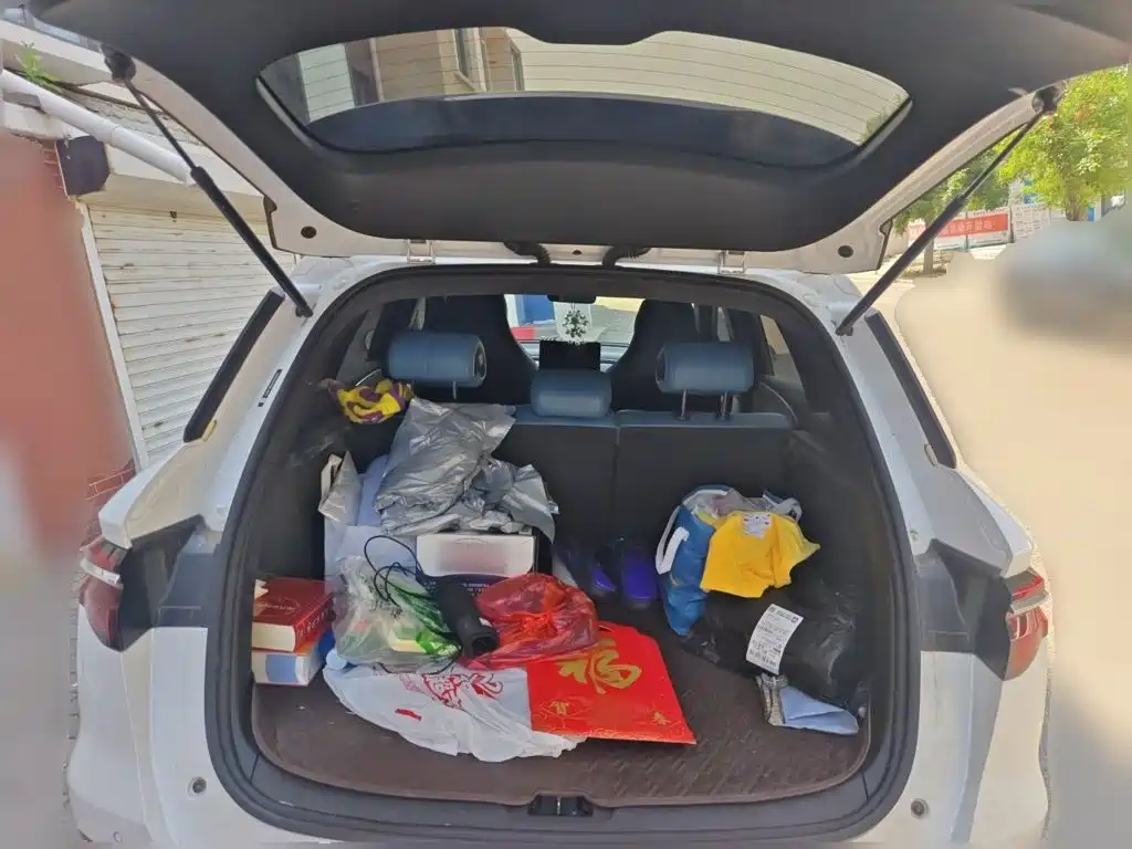 BYD Pro — миниатюра 10