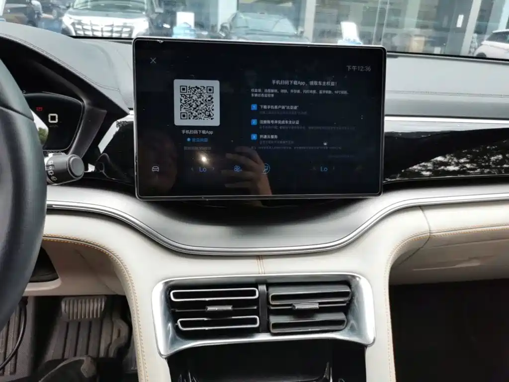 BYD PLUS New Energy — миниатюра 13