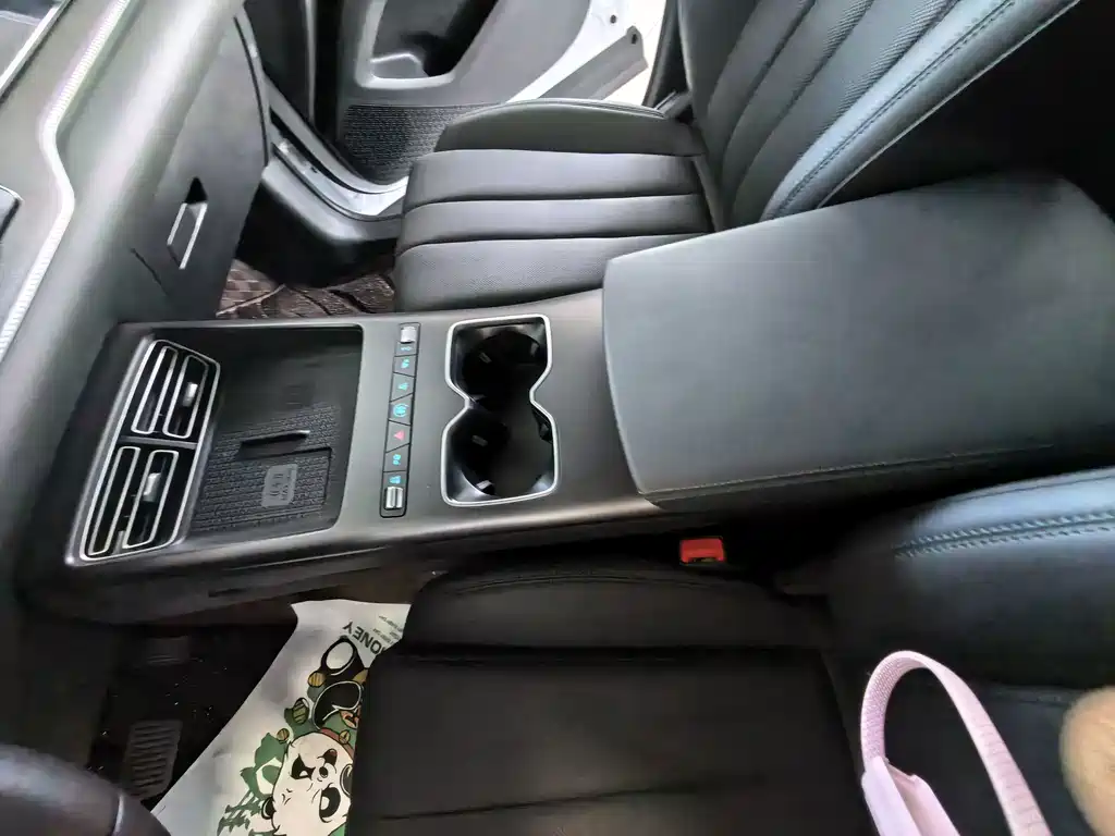 BYD Pro New Energy — миниатюра 11