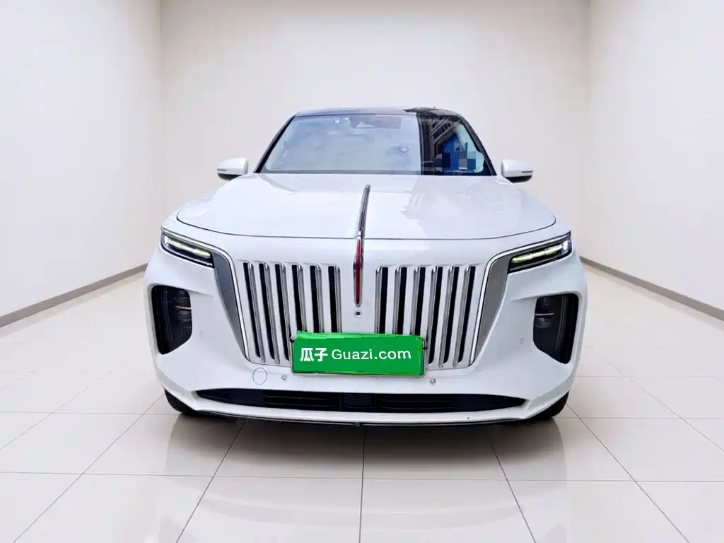 Hongqi Hongqi E-HS9 — миниатюра 24